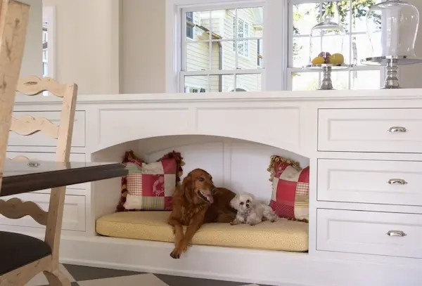 Cum sa organizam spatiul in casa pentru animalele de companie