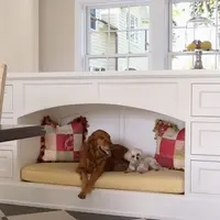 Cum sa organizam spatiul in casa pentru animalele de companie