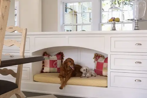 Cum sa organizam spatiul in casa pentru animalele de companie