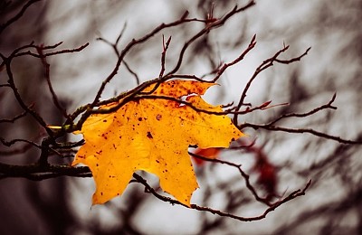Prognoza meteo, 8 noiembrie. Vreme rece în următoarele ore. Ploi, lapoviță și ninsoare în unele regiuni