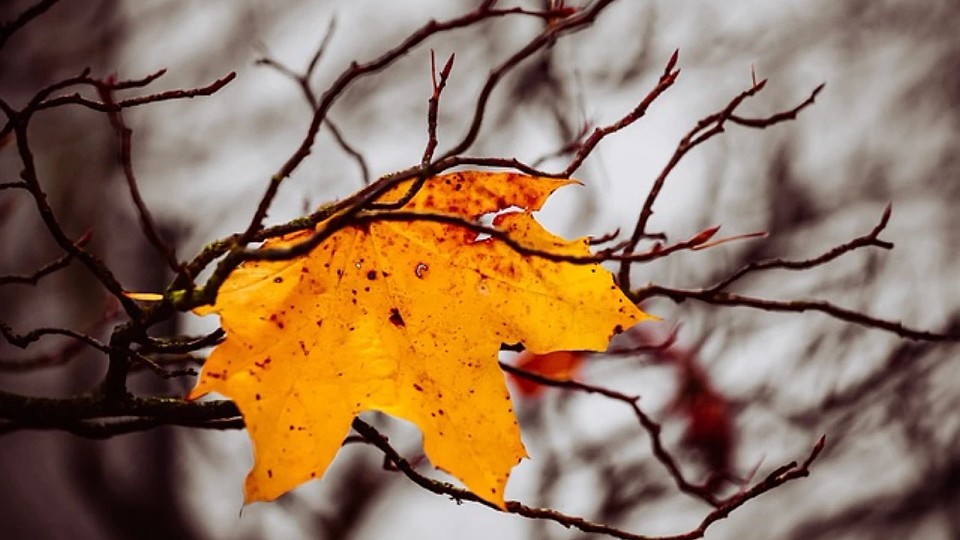 Prognoza meteo, 8 noiembrie. Vreme rece în următoarele ore. Ploi, lapoviță și ninsoare în unele regiuni