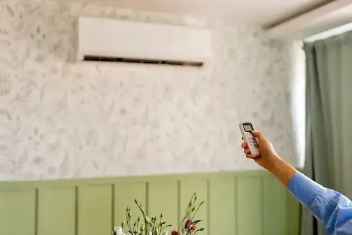 Summer Bypass: Everything You Need to Know About It