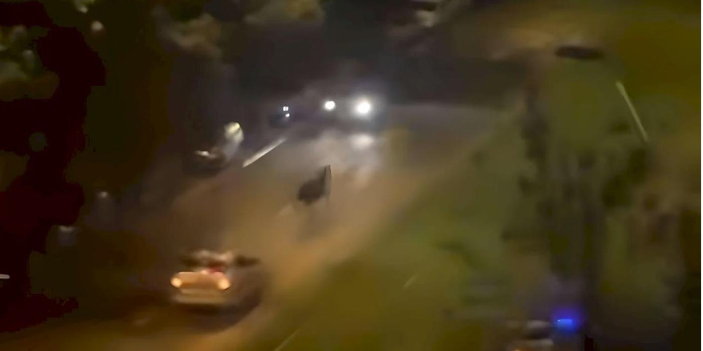 Două mașini de poliție au pornit, noaptea trecută, în urmărirea unui cal care se plimba nestingherit prin Sectorul 5