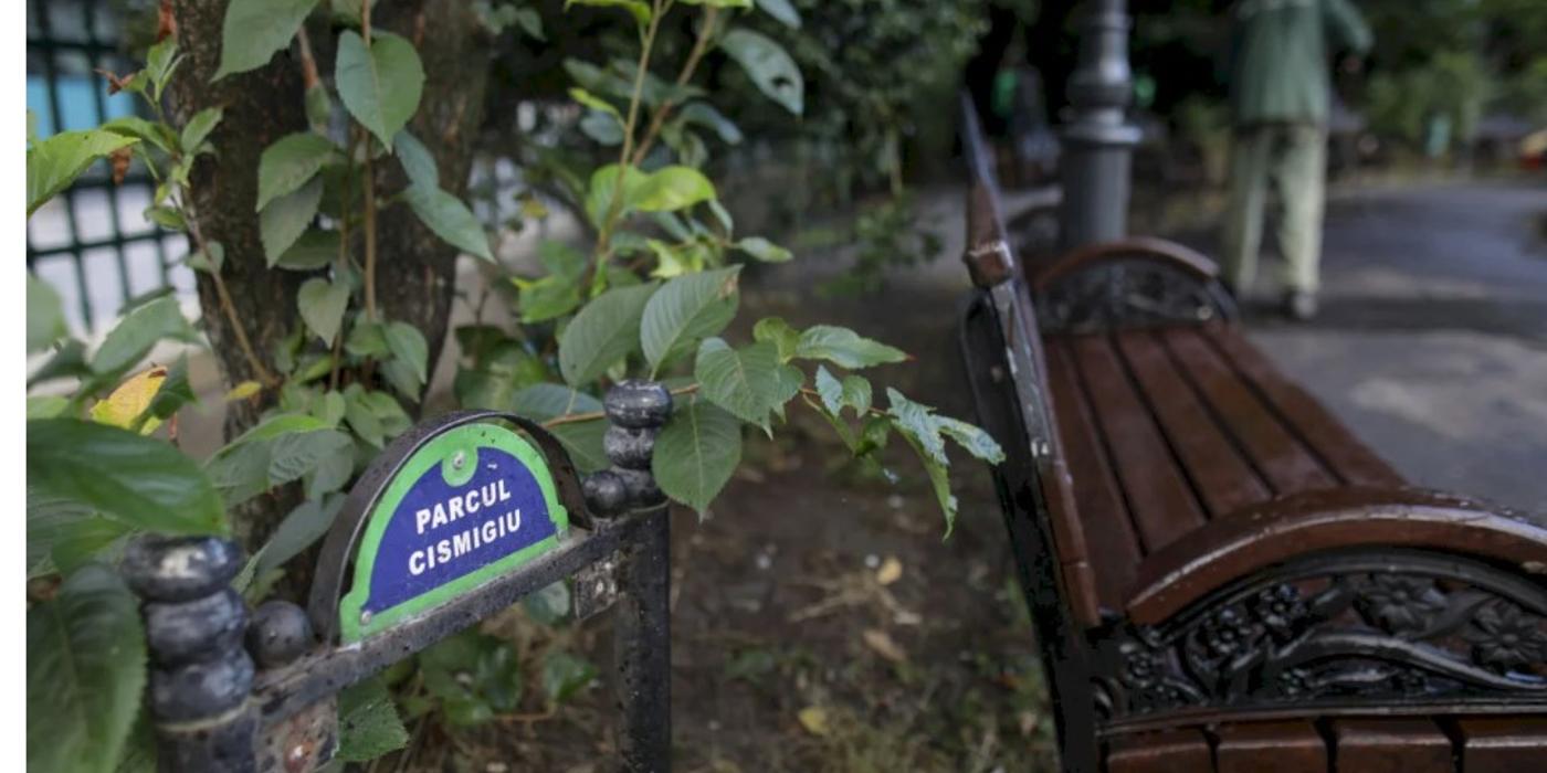 Horia Tomescu: „Pază și patrulare în Parcul Cișmigiu”