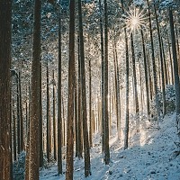Prognoza meteo, 22 ianuarie. Temperaturi ieșite din zona normalului în toată țara