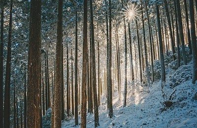 Prognoza meteo, 22 ianuarie. Temperaturi ieșite din zona normalului în toată țara