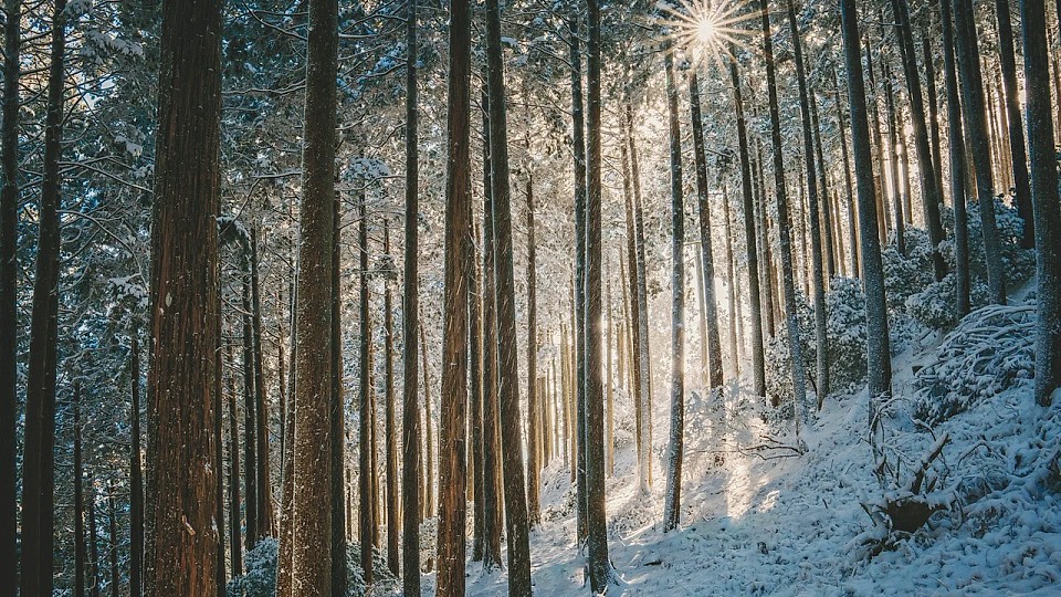 Prognoza meteo, 22 ianuarie. Temperaturi ieșite din zona normalului în toată țara