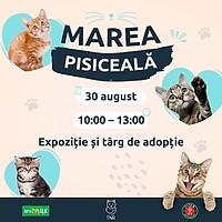 Marea Pisiceală 2025 la București: Pisici Exotice, Adopții și Catwalk la Auchan Titan