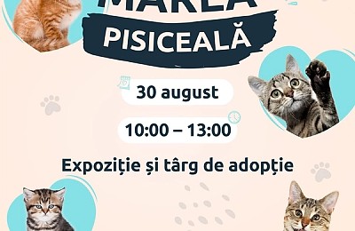 Marea Pisiceală 2025 la București: Pisici Exotice, Adopții și Catwalk la Auchan Titan