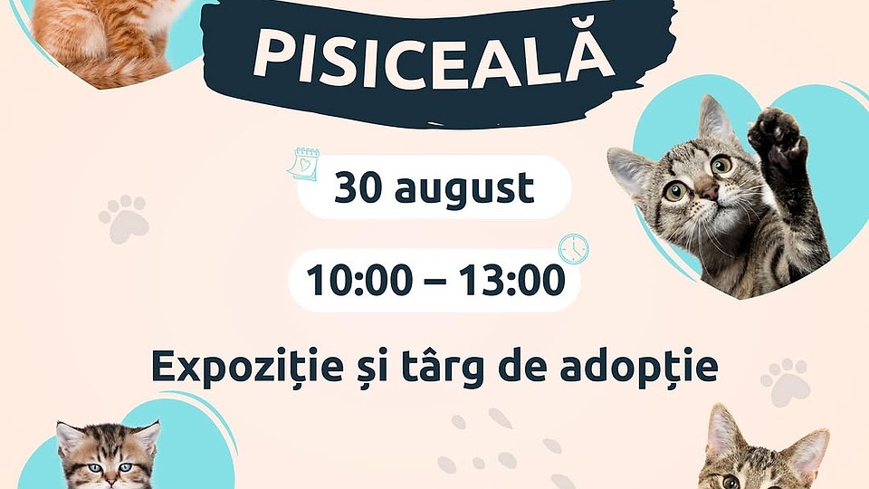 Marea Pisiceală 2025 la București: Pisici Exotice, Adopții și Catwalk la Auchan Titan