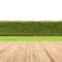 Visezi la o gradina in permanenta perfect verde? Iata 3 solutii pentru a transforma acest vis in realitate