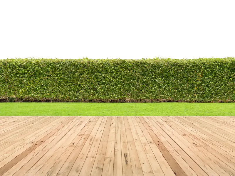 Visezi la o gradina in permanenta perfect verde? Iata 3 solutii pentru a transforma acest vis in realitate