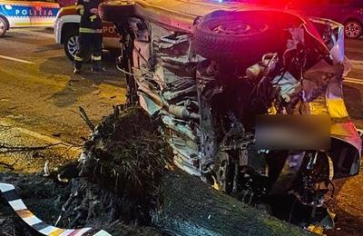Un tânăr a ajuns noaptea trecută la spital. A intrat cu mașina într-un copac pe strada Bucium din Cluj-Napoca