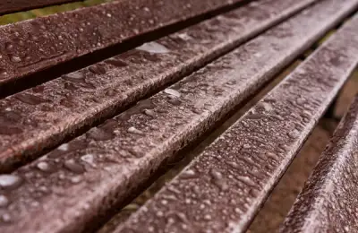 Choosing Weather-Resistant Garden Furniture: Tips for Selecting Pieces That Withstand Temperature and Humidity Changes While Adding Style to Your Garden