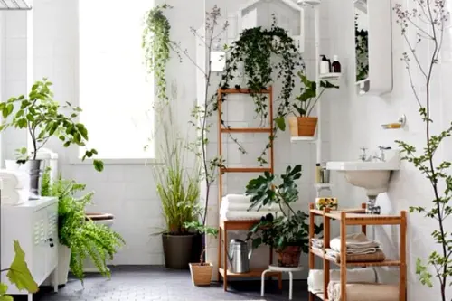 Tendinte in amenajari: decor cu plante pentru baie