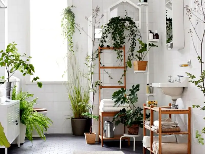 Tendinte in amenajari: decor cu plante pentru baie