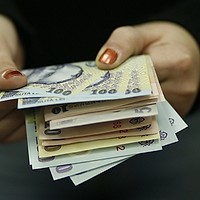 Ministrul Economiei: Sunt şefi de companii de stat cu salarii de 50.000 de lei brut