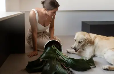 10 Trucuri pentru a menține casa curată dacă ai un animal de companie