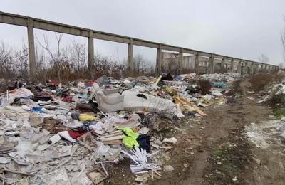 Primăria Sectorului 1 a fost amendată de Garda de Mediu