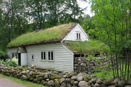 Avantajele unui acoperis verde