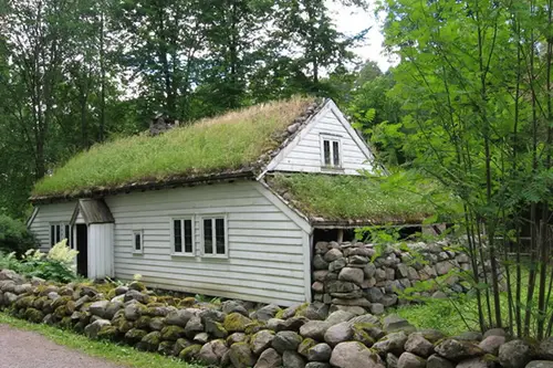 Avantajele unui acoperis verde