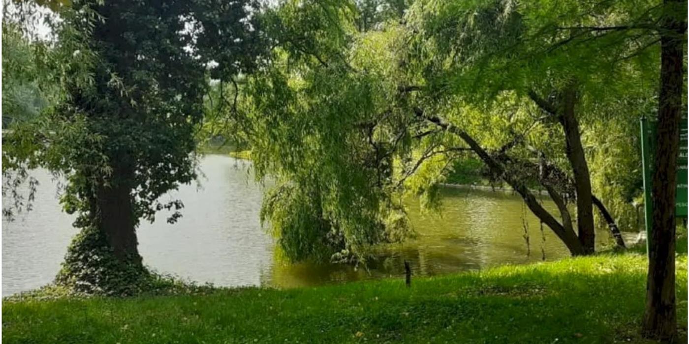 Parcul Carol I va beneficia de un sistem modern de irigații, potrivit spuselor primarului general al Capitalei, Nicușor Dan