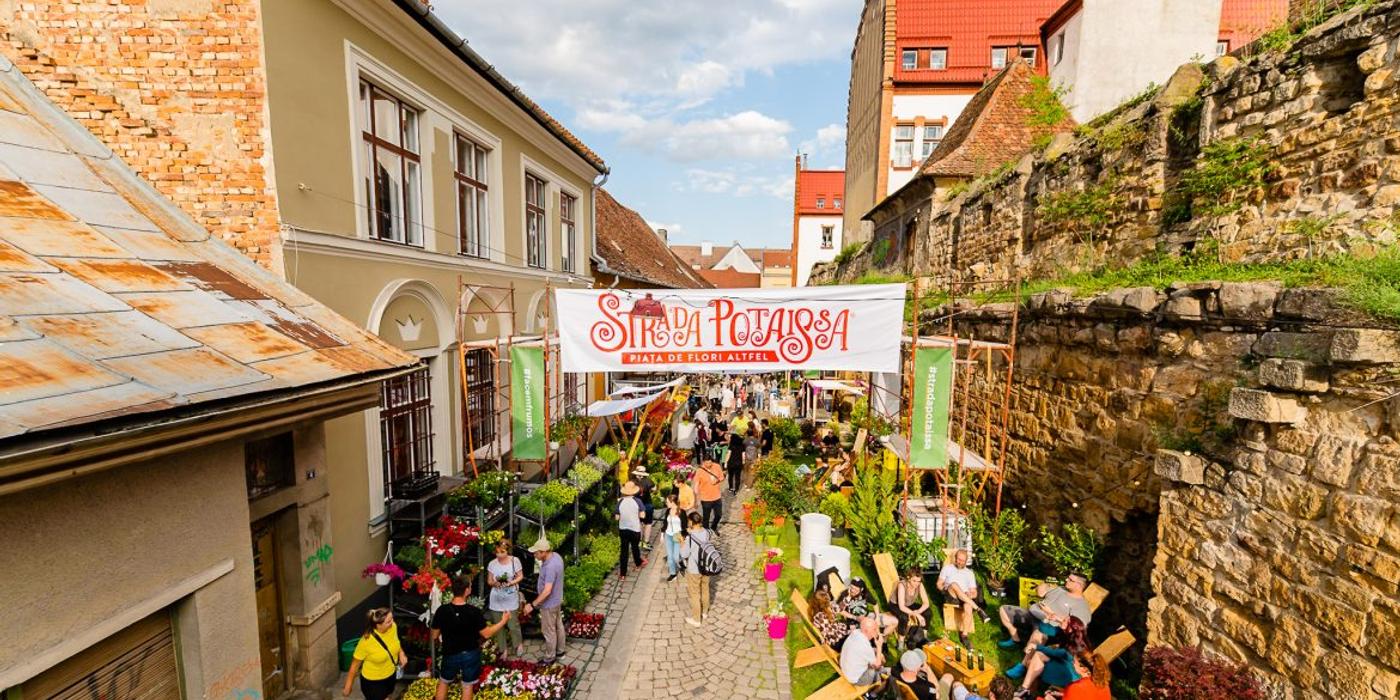 Între 21 și 24 iunie, Strada Potaissa va fi plină din nou cu flori