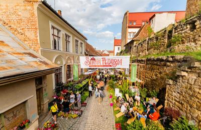 Între 21 și 24 iunie, Strada Potaissa va fi plină din nou cu flori