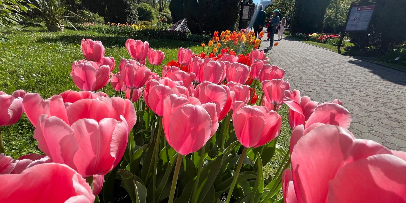 Minivacanță în culori la Grădina Botanică!