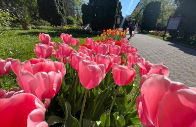 Minivacanță în culori la Grădina Botanică!