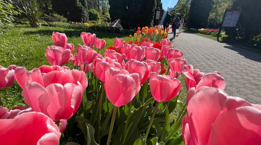 Minivacanță în culori la Grădina Botanică!