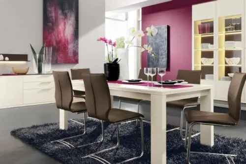 15 modele moderne de dininguri