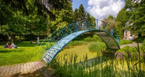 Leuven, Belgia: O bijuterie medievală cu o peisajistică uimitoare