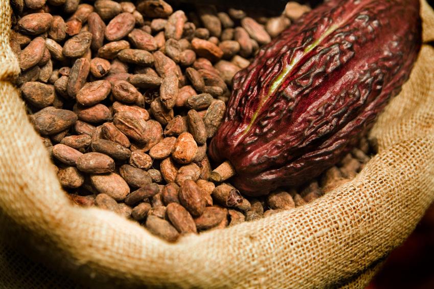 CNBC: Preţul pentru cacao a urcat în premieră la peste 10.000 de dolari pe tonă; Ce înseamnă creşterea pentru consumatori şi de ce ”ce este mai rău urmează să vină”