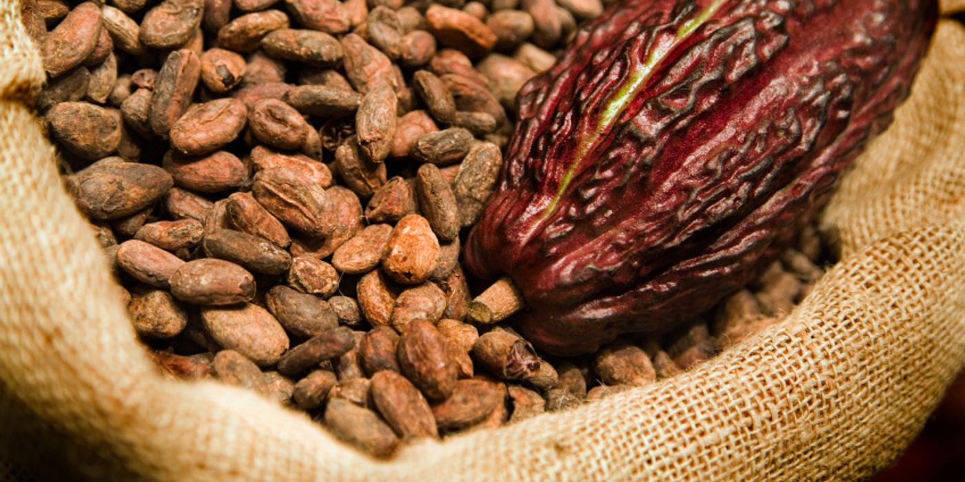 CNBC: Preţul pentru cacao a urcat în premieră la peste 10.000 de dolari pe tonă; Ce înseamnă creşterea pentru consumatori şi de ce ”ce este mai rău urmează să vină”