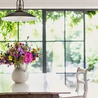 5 sfaturi de gradinarit pentru interior