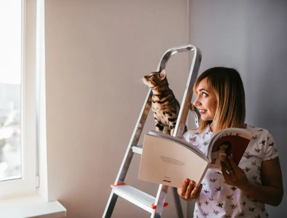 Renovarea unui apartament vechi: idei și costuri estimate