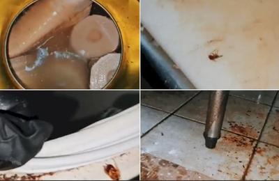 În urma controlului efectuat la un restaurant din Sectorul 3, ANPC a găsit o mulțime de nereguli