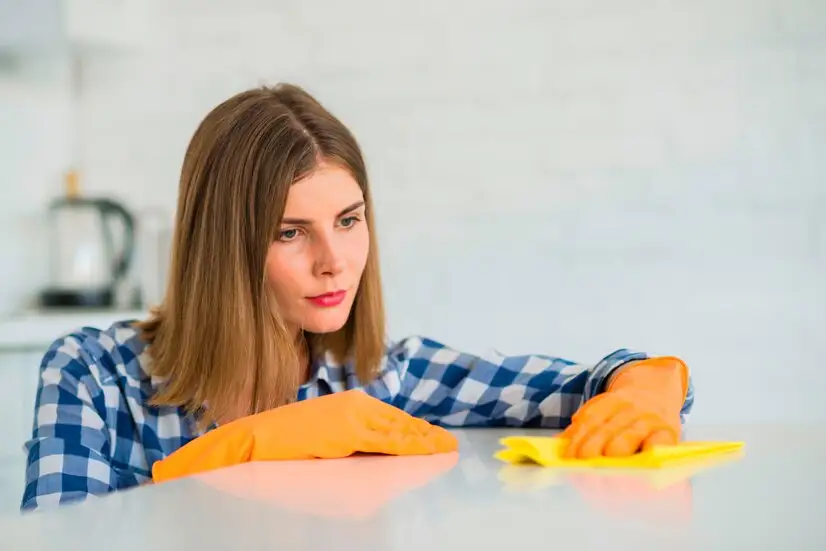 Tips for Cleaning and Sanitization Processes at Home