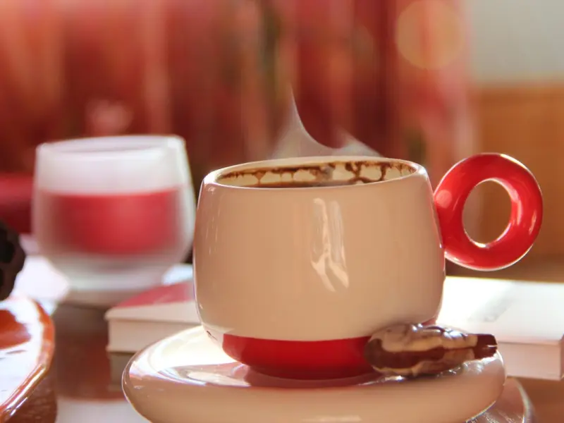 Foloseste zatul de cafea in gradina