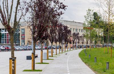 Lucrările de modernizare a platoului Sălii Sporturilor se apropie de sfârșit