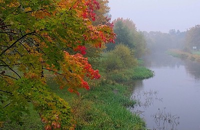 Prognoza meteo, 6 decembrie. Început de weekend cu vreme închisă și instabilă. Unde va ploua