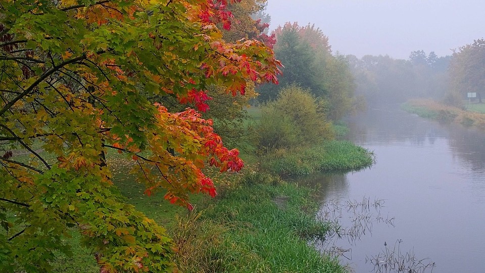 Prognoza meteo, 6 decembrie. Început de weekend cu vreme închisă și instabilă. Unde va ploua