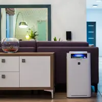 Cum purifici aerul din casă cu un PlasmaclusterIon de la Sharp? Cât costă și de unde cumperi?