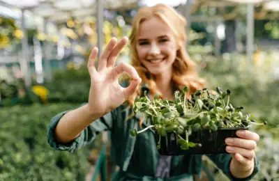 Grădinărit ecologic 🌿: Cum să eviți pesticidele și să folosești metode naturale de protecție 🌿
