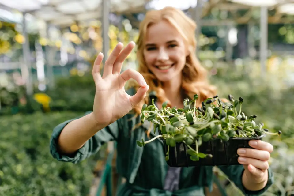 Ecological Gardening: How to Avoid Pesticides and Use Natural Protection Methods