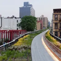 Orașe verzi- o oază de liniște în inima betonului