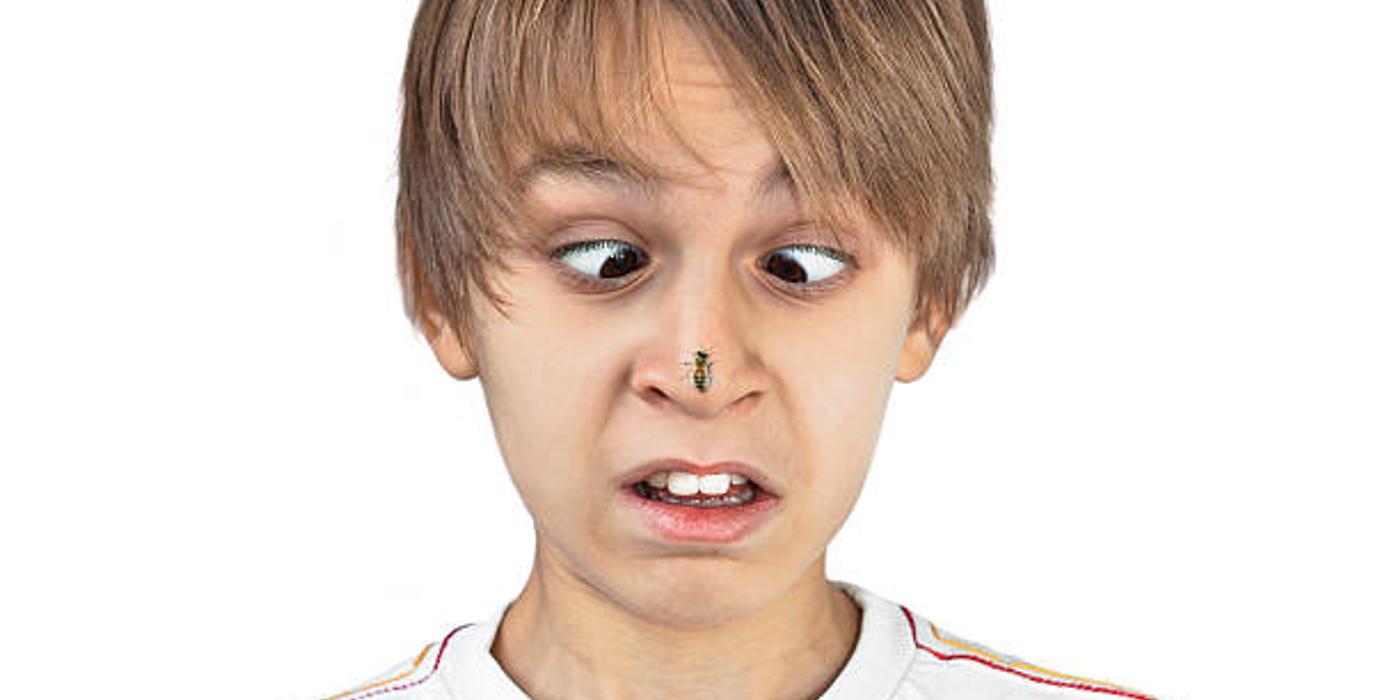 Primul ajutor la copilul înțepat de albină