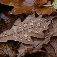 Prognoza meteo, 12 septembrie. Toamna își intră în drepturi. Temperaturile scad semnificativ în următoarele ore