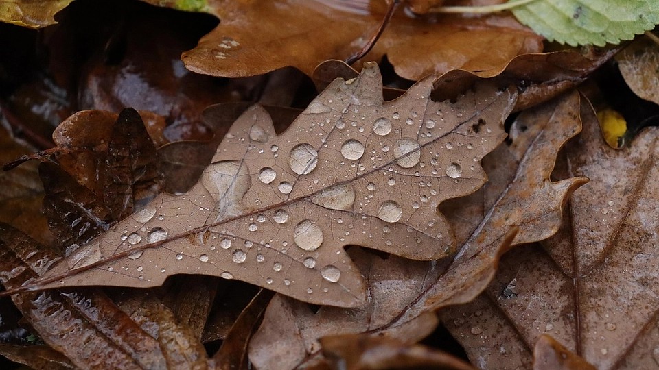 Prognoza meteo, 12 septembrie. Toamna își intră în drepturi. Temperaturile scad semnificativ în următoarele ore